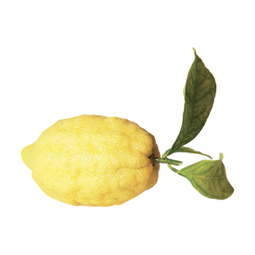 Limón de Amalfi