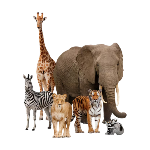Notas animales