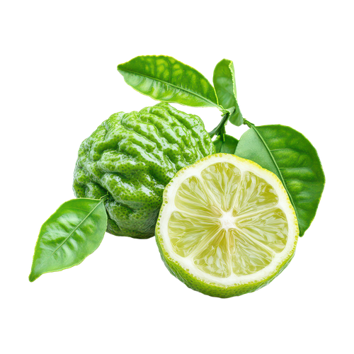Bergamota