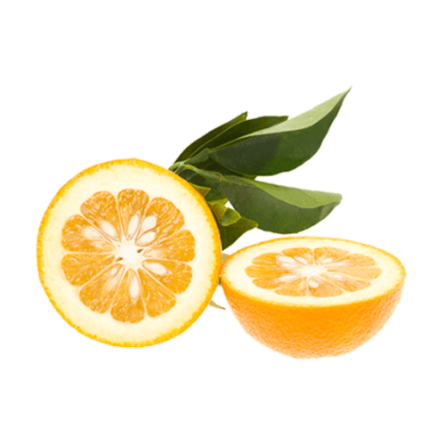 Naranja amarga