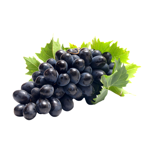 Uvas negras