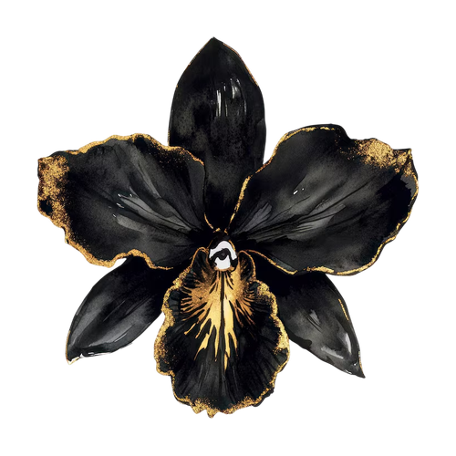 Orquídea negra
