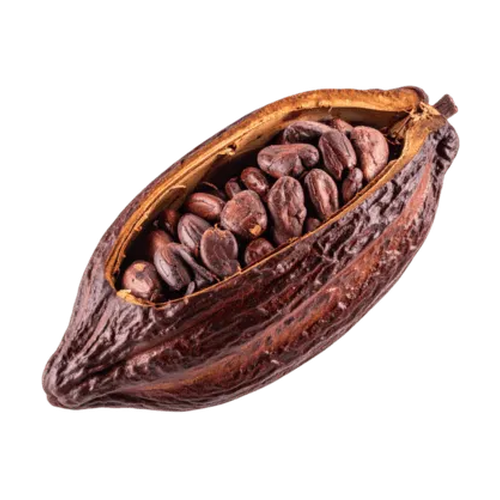 Cacao