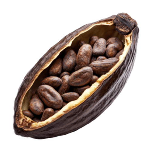 Vaina de cacao