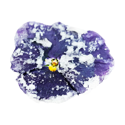 Violeta confitada