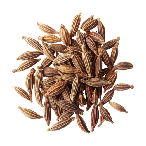 Alcaravea