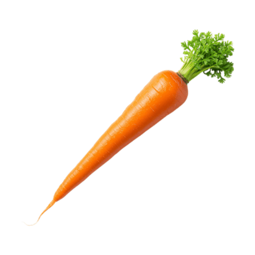 Zanahoria