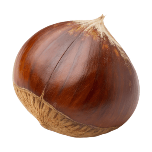Castaña