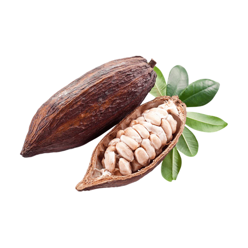Cacao
