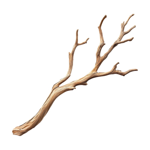 Madera seca