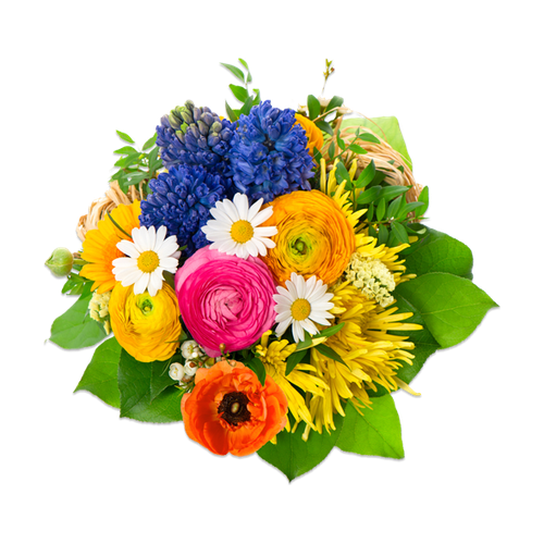 Flores