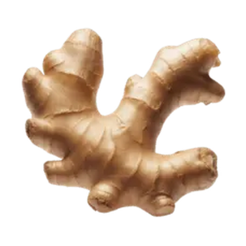 Jengibre