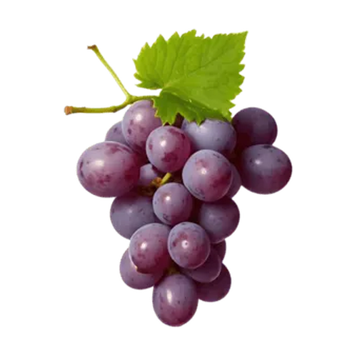 Uvas