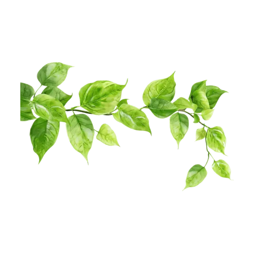 Hojas verdes
