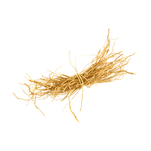 Vetiver haitiano