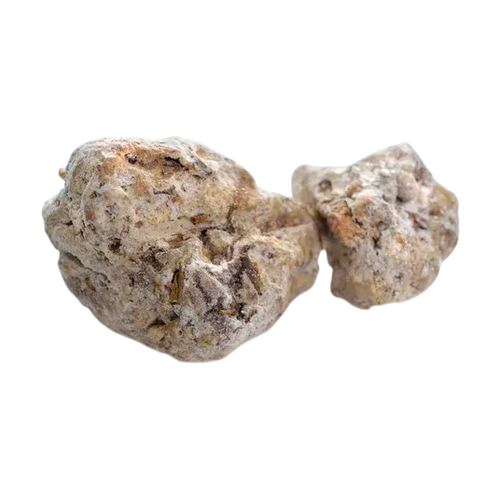 Ámbar gris de Madagascar