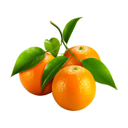 Mandarina