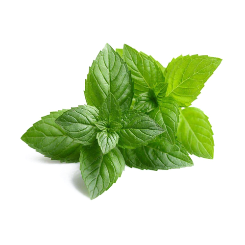 Menta