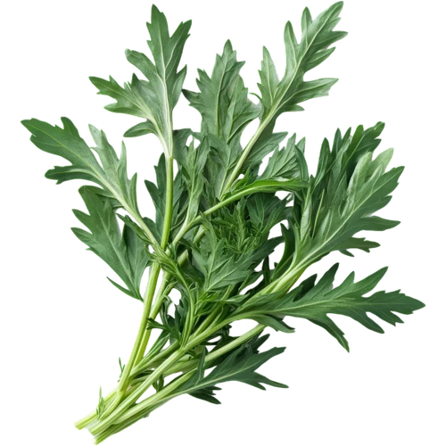Artemisa