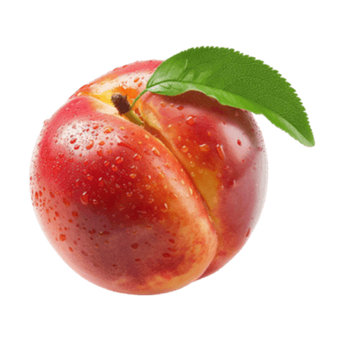 Nectarina