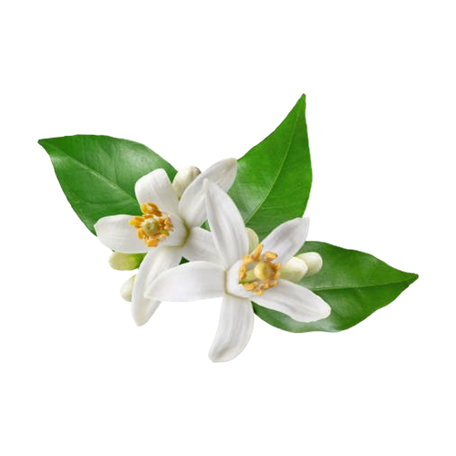 Neroli