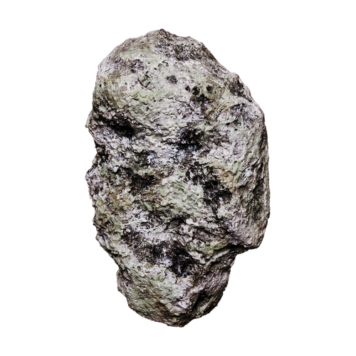 Orcanox