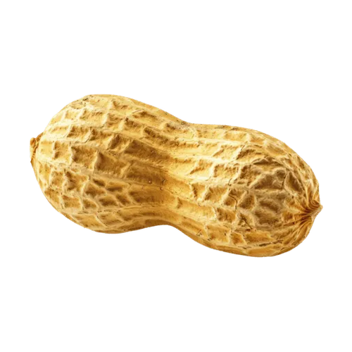 Cacahuete