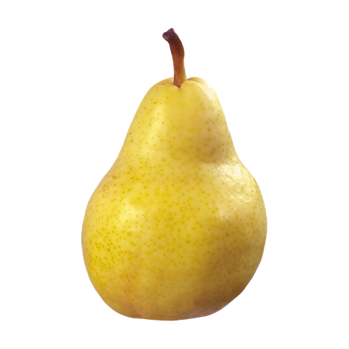 Pera