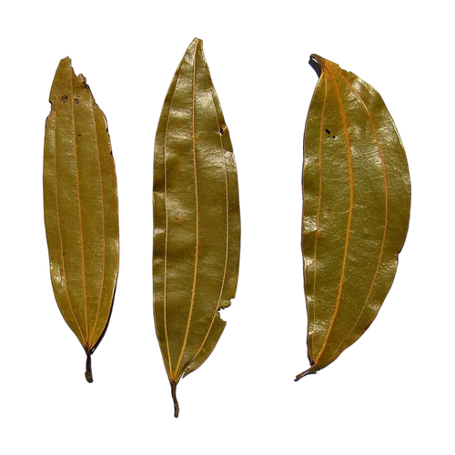 Hoja de pimienta de Jamaica