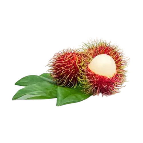 Rambután