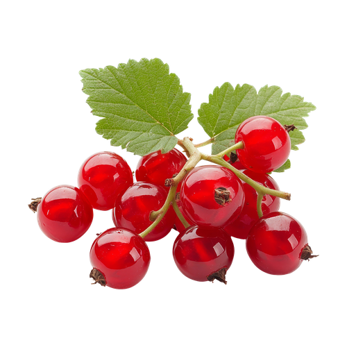 Grosella roja