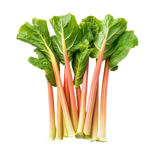 Ruibarbo