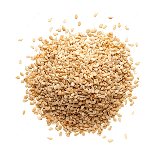 Sésamo