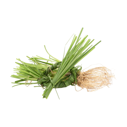 Vetiver de Tahití