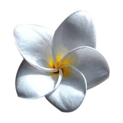 Flor de tiaré