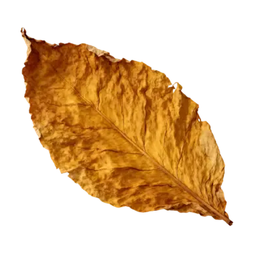 Hoja de tabaco