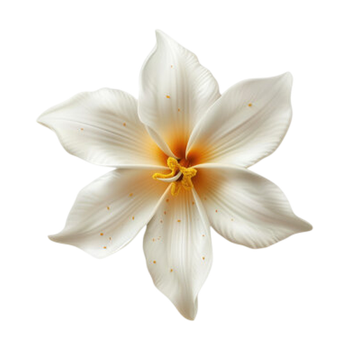 Flor de vainilla