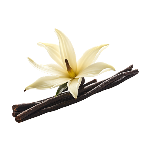 Vainilla
