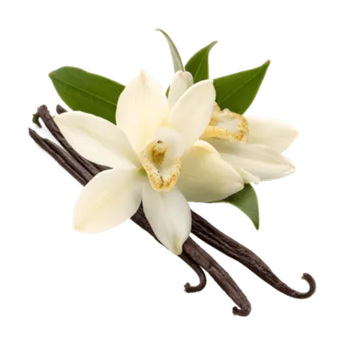 Orquídea de vainilla