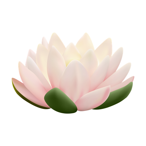 Flores acuáticas
