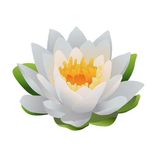 Nenúfar