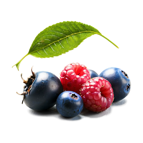 Frutos del bosque