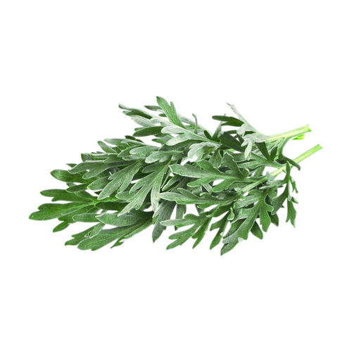 Ajenjo