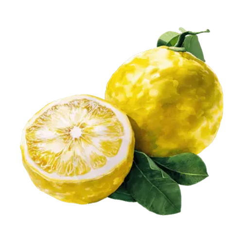 Yuzu